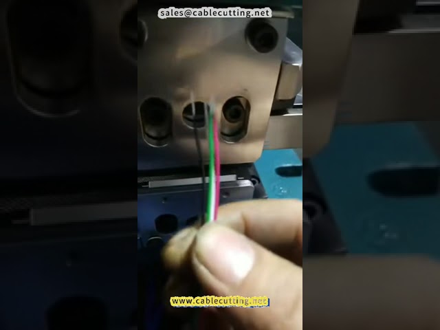 3FN Wire Stripping and Twisting Machine