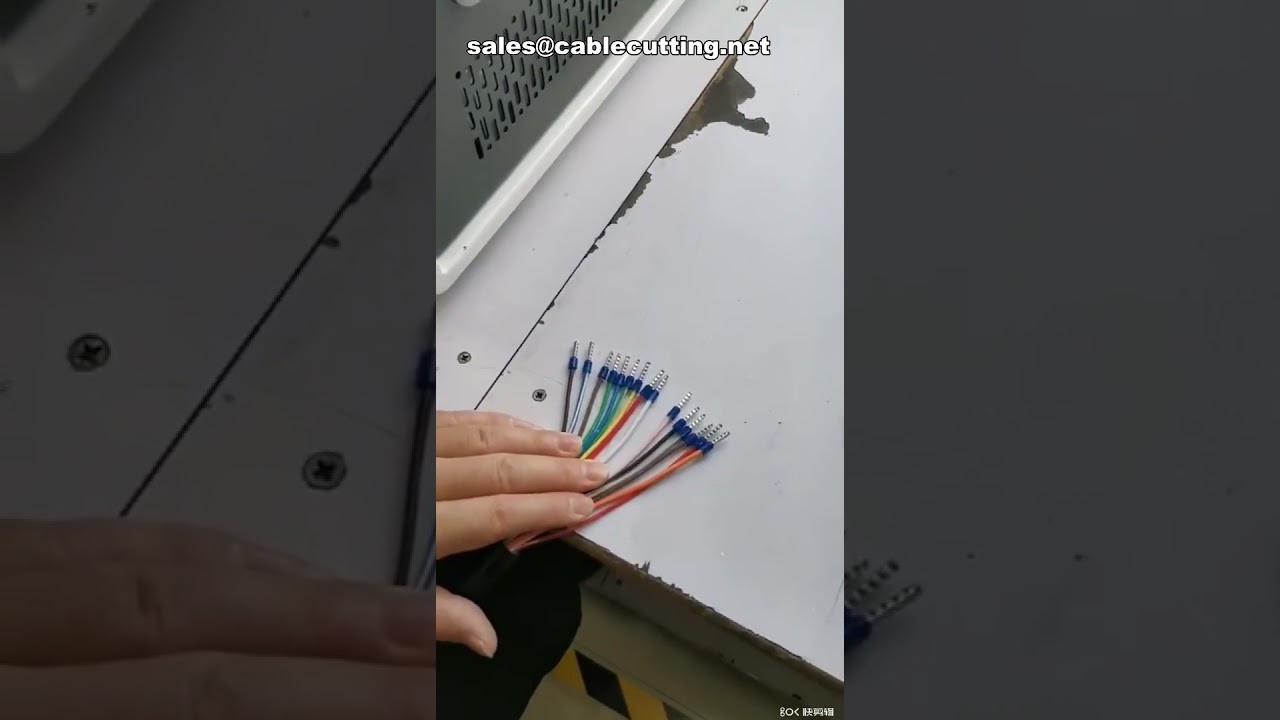 Insulated Ferrule Wire Terminal Strip Crimping Machine,Semi Automatic Cable Terminals Crimp Machine,