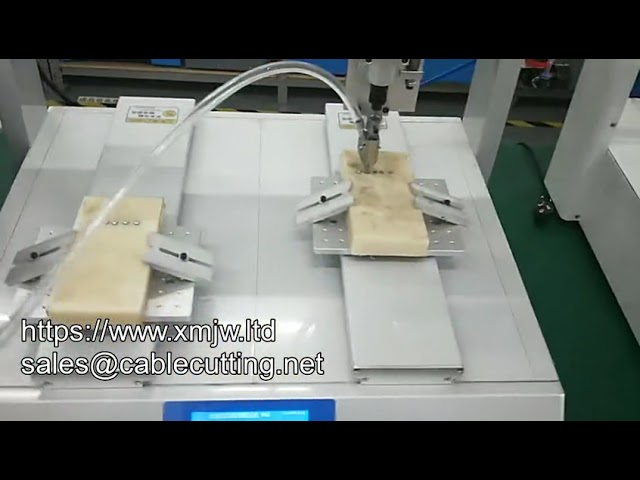 Automatyczny Robot Wkrętakowy do Montażu Panelu LED